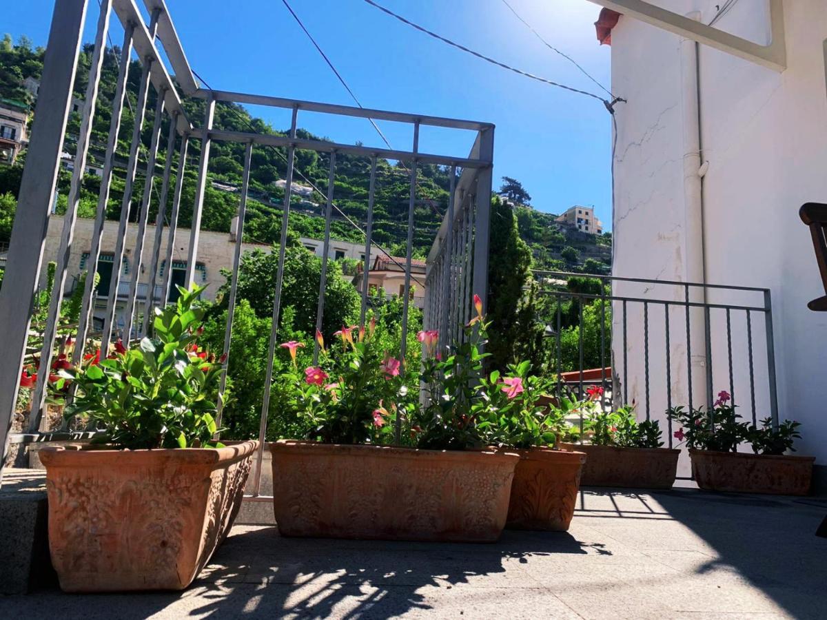 L'Albero Della Vita Minori Εξωτερικό φωτογραφία